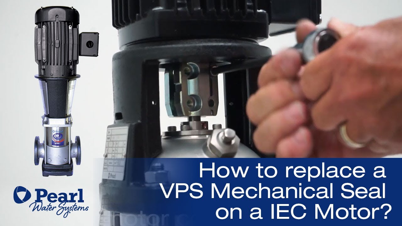 How to replace a Mechanical Seal on a IEC Motor? YouTube