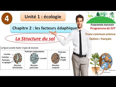 Vidéo: Quels sont les types de structure du sol?