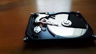 Harddisk Maxtor Diamond Max 20 (80 GB)