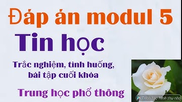 Modul 5 môn Tin học THPT/ trắc nghiệm tình huống, bài tập cuối khóa/ có cách tải bản word về máy