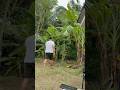 Way Back Home ЁЯШК Travel Vacation Japan To Philliphines Way Back Home ЁЯШК Travel Vacation Japan To Philliphines
