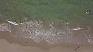 Aerial View of Majestic Beach Waves screenshot 4