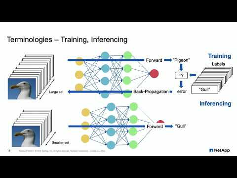 NetApp What is