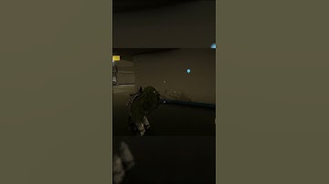 Wildlands Bug - stuck in a empty building