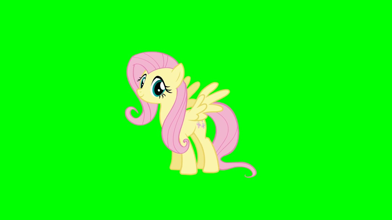 Fluttershy Clip -  Animation(Green Screen Ponies)