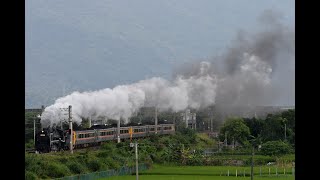 臺鐵DT668蒸汽機車專列(8771次) 北埔=花蓮港間通過