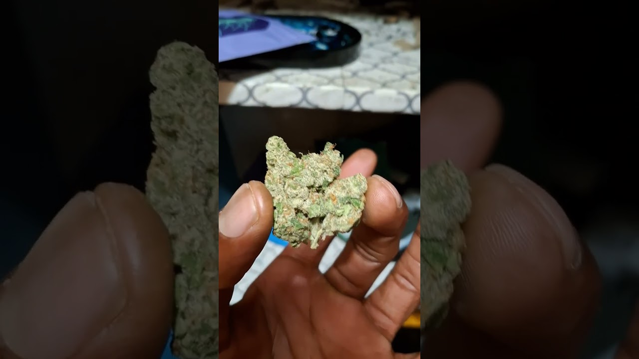 Kind Tree- Rebel OG (Strain Review)