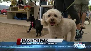 Four-Legged, Furry Fun Event Bark In The Park