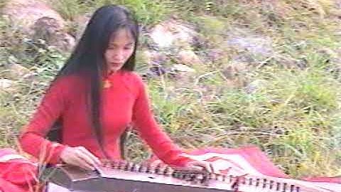 Hòa tấu đàn Tranh : Bông Hồng Tặng Cô