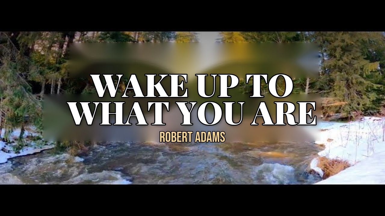 Этот мир — сон. Очнись и осознай, кто ты есть.