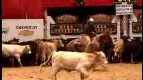 2005 NCHA Futurity Non-Pro Champion