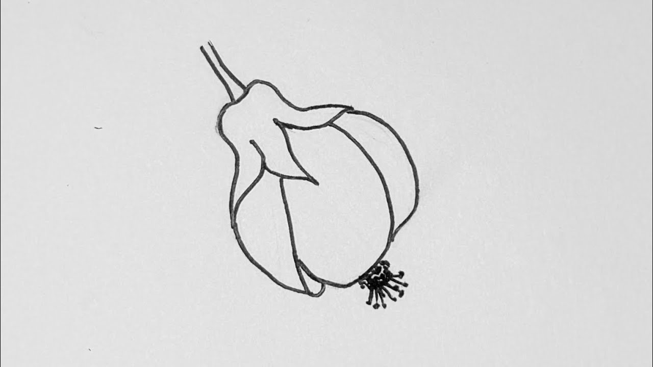 Easy Flowering Maple Flower Drawing| Simple Line Art Tutorial for kids and Beginners!!