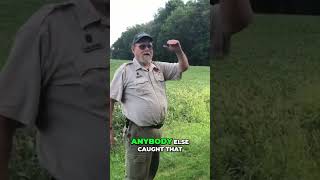 Adorable Deer and Groundhogs Spotted on Property!