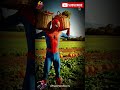 Spider-Man Working in Fields 🔥 | Superhero Farming #shorts #spiderman #marvel #superhero #trending