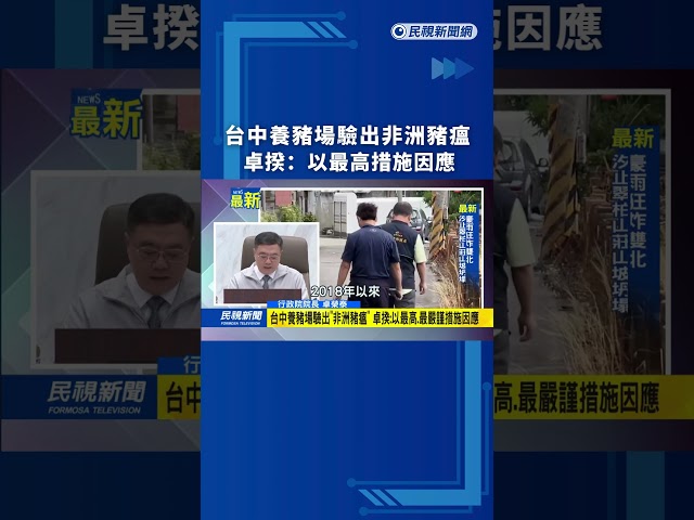 台中養豬場驗出非洲豬瘟　卓揆：以最高措施因應｜民視新聞｜