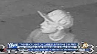 Ocean Beach business owners fighting back against graffiti vandal