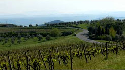 April 2011 - Italy - Tuscany - From Certaldo to Barberino Val d'Elsa