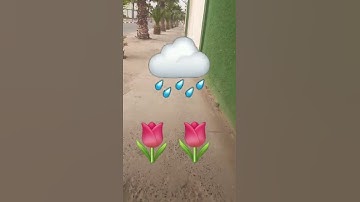 سورة القارعة بصوت سعود الشريم