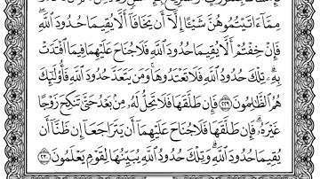 سورة البقرة من الآية( 229-231) عبد الرحمن السديس