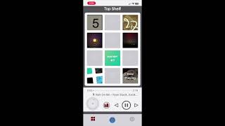 birdDust Audio - Hi-Fi Music Player for iPhone (FLAC, AIFF, Gapless) screenshot 5