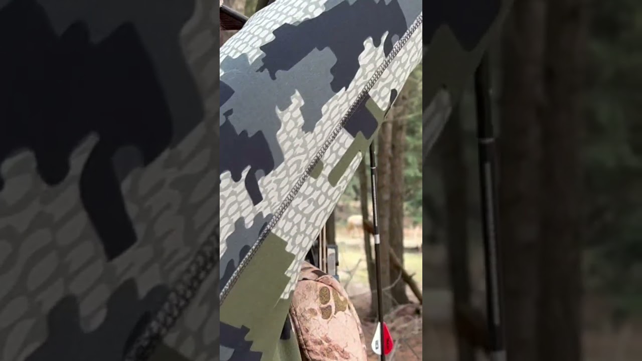 Threading the needle #pnw #bowshoot #3d #summer #spring #exploreidaho #shorts #subscribe #creator