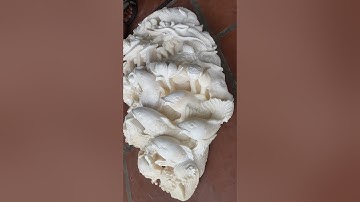 Cá chép vượt vũ môn