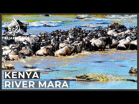 Kenya's River Mara vulnerable to climate change