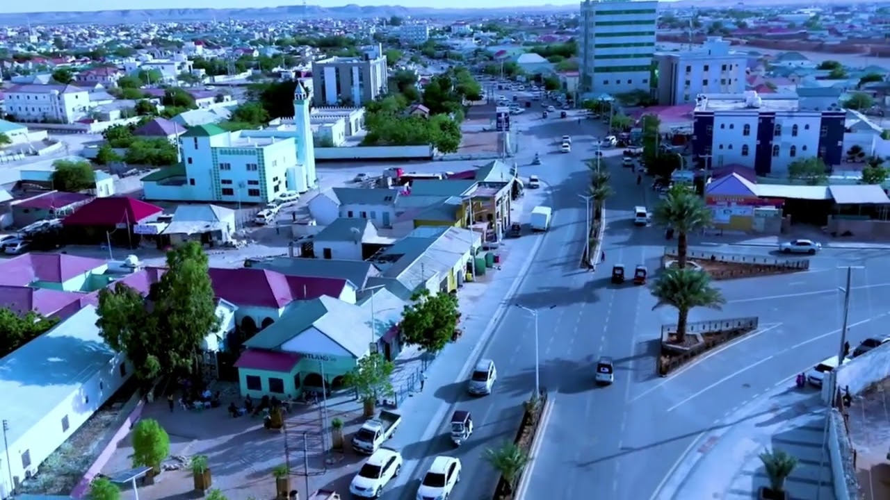 Magaalada Garoowe ayaa ka faa,iideysatay Beerista Geedka Timirta , waxayna soo saartay Quruxda wadoo