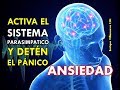 ANSIEDAD: ACTIVA ESTE SISTEMA Y DETÉN EL PÁNICO