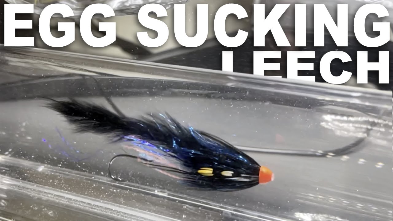 How to Tie an Egg Sucking Leech Steelhead Fly 