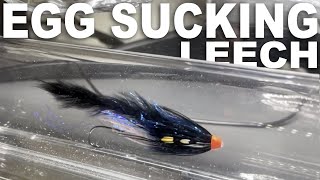 How to Tie an Egg Sucking Leech Steelhead Fly