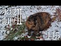 遅い冬の訪れ　水域創世Ⅱ- 115【4K】