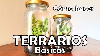 COMO HACER TERRARIOS BÁSICOS | Terrario fácil con frasco de vidrio