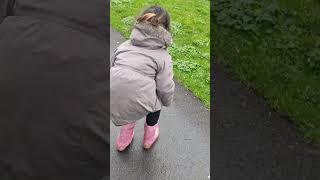 Ördek Yürüyüşü