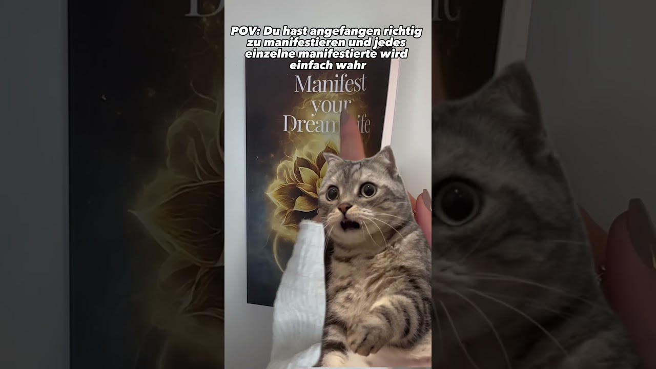 Auf Amazon erhältlich 🫶🏼 