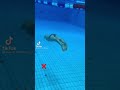تعليم السباحة 