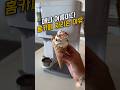 매년 여름마다 홈카페 차리는 이유 #쿠팡추천 #쿠팡템 #쿠팡템리뷰 #쿠팡템추천