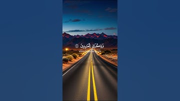 تلاوه خاشعه القارئ عبد الرحمان مسعد