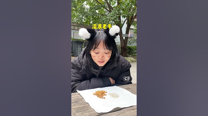 猫咪走丢后千万别着急赶紧找流浪猫求助#新手养猫#科学养宠攻略#养猫经验分享#养猫人#找猫