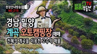 경남 밀양 오토캠핑장 매매 천혜의 계곡을 이용한 고수익 매물 밀양부동산  발품부동산TV
