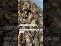#jerkchicken #foodie #cooking #subscribe