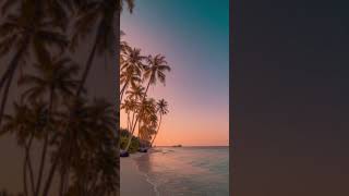 Techno/trance/house/edm dance mix all original tracks #techno #housemusic o