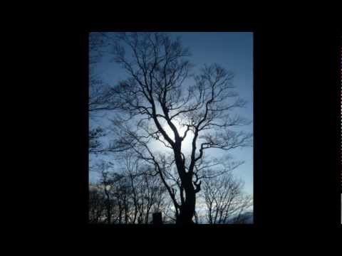 名曲　アンサー　（answer)　を　covre