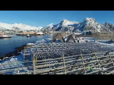 travel-to-lofoten-islands-norway?-take-a-look-at-this!-best-of-(hd)