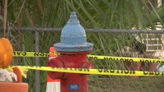 Fire hydrant leak causes flooding for a Panama City resident