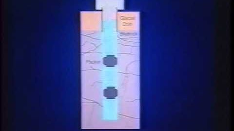 1995 Henry Darcy Lecture Series - Paul Hseih (part 2)