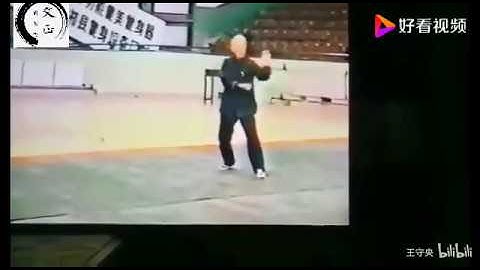 Song Style Xingyi Quan (宋氏形意拳), Zhao Yongchang (赵永昌).