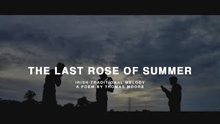 【Oca-limba&Handflute】The Last Rose of Summer / Irish Melody (Thomas Moore's Poem)