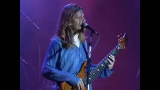 Engenheiros do Hawaii - Simples de coração (Ao Vivo)