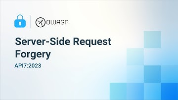 Server Side Request Forgery - 2023 OWASP Top 10 API Security Risks